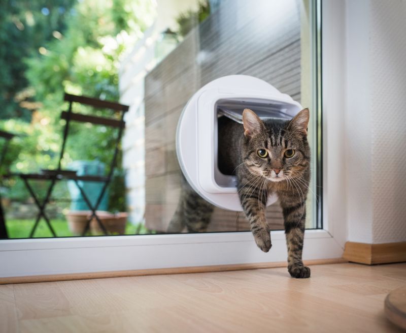 Pet Doors