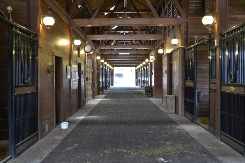 Electronic Smart Doors