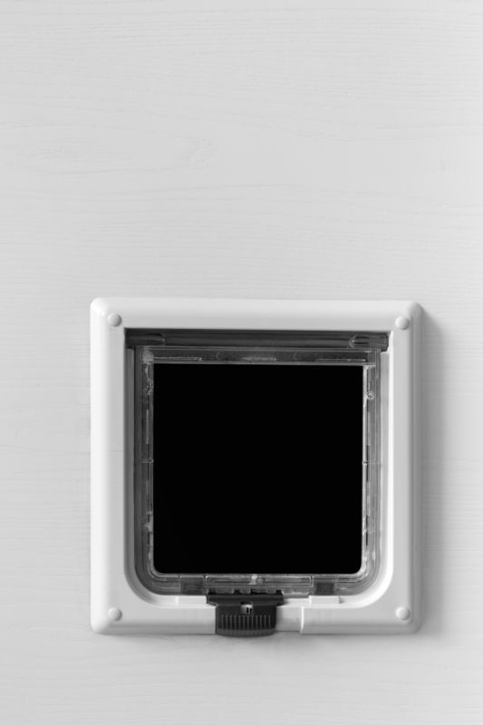 Pet Doors Installation in Spring