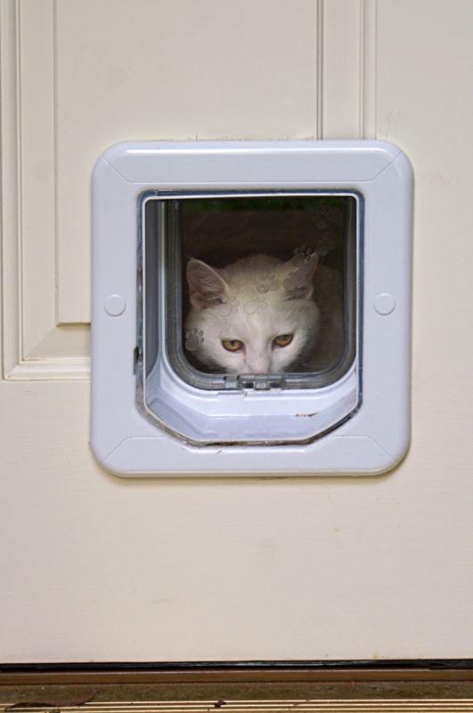 pet doors
